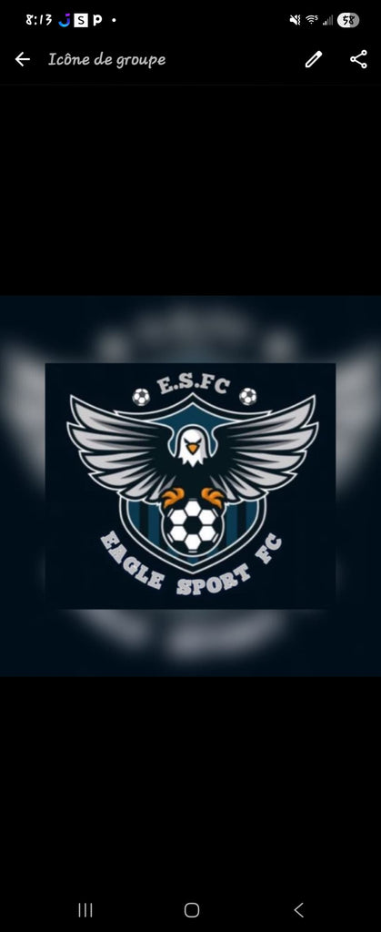 Custom order for 17 uniforms